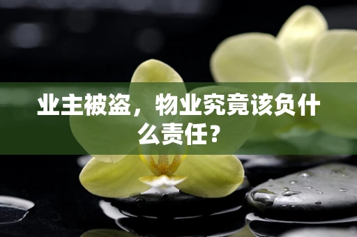 业主被盗，物业究竟该负什么责任？