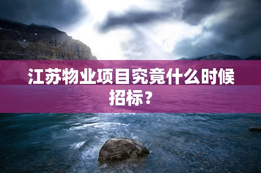 江苏物业项目究竟什么时候招标？